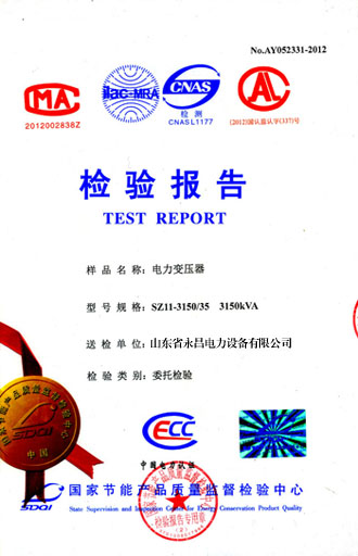 娄底电力变压器检测报告